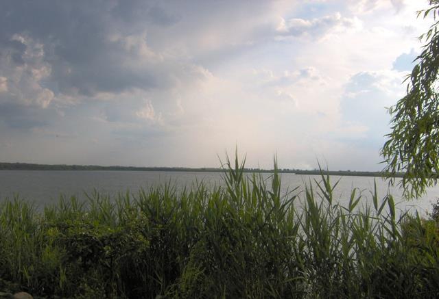 Doar ... NATURA - 4 - im000473.JPG